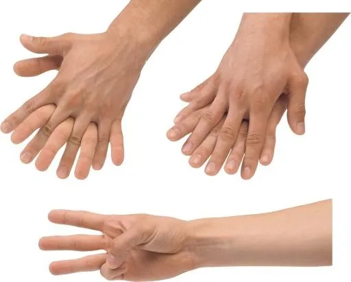 手 PNG免抠(3100x2494)