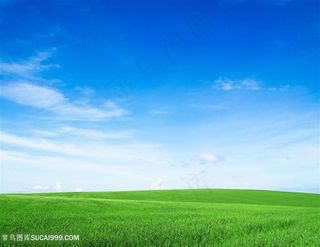 蓝天碧草背景高清图片