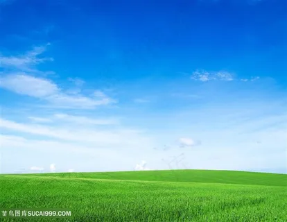 蓝天碧草背景高清图片 蓝天碧草背景高清图片