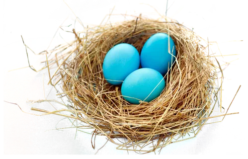 蓝色鸟蛋鸟窝