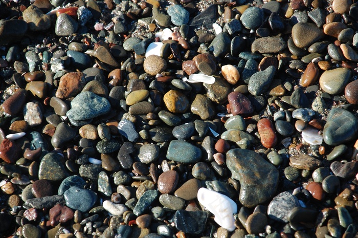 海滩光滑石块图片