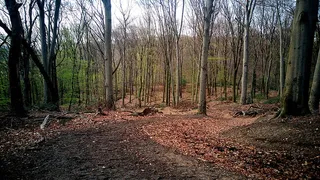 风景 天空 旅行美丽 (83)