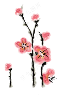 手绘中国画腊梅