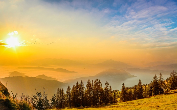冬天自然背景风景