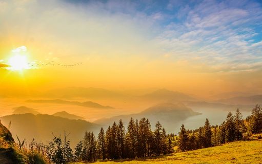 冬天自然背景风景