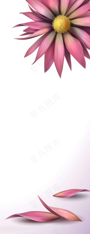 粉色向日葵装饰画