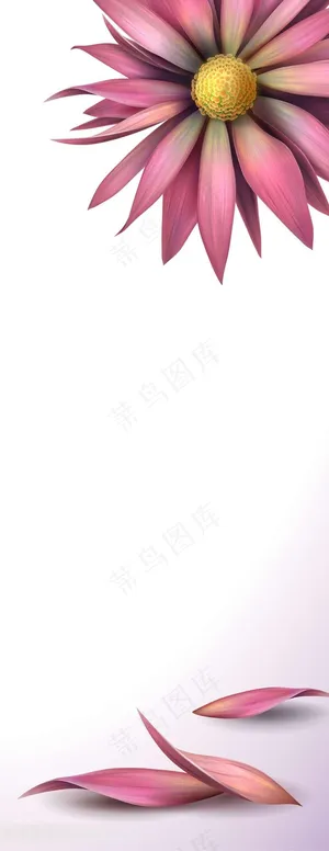 粉色向日葵装饰画