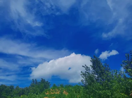 白云蓝天绿树深邃天空风景 白云蓝天绿树深邃天空风景