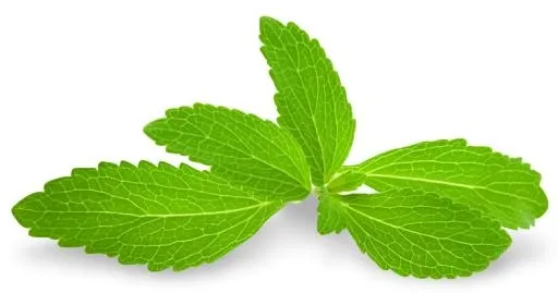薄荷 PNG免抠(784x412)