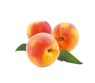 黄桃子现代农业