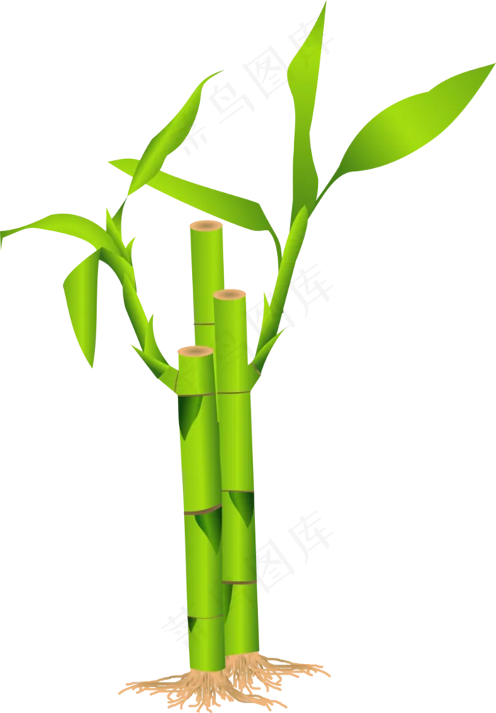 PNG 绿色竹子 