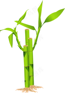 PNG 绿色竹子  PNG 绿色竹子