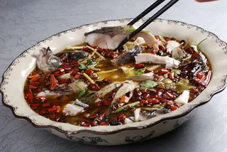 CXC02795麻辣老坛鱼23元斤.2-