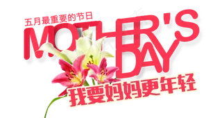 感恩母亲节艺术字 