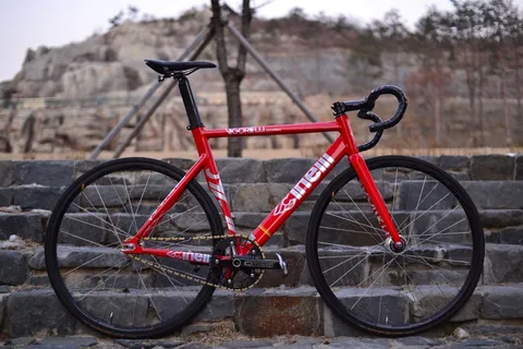 骑行自行车图片 骑行自行车图片