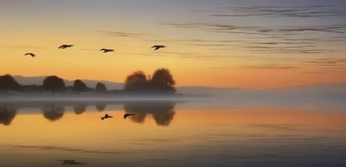夕阳湖面倒影风光背景(1584x768)