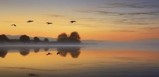 夕阳湖面倒影风光背景