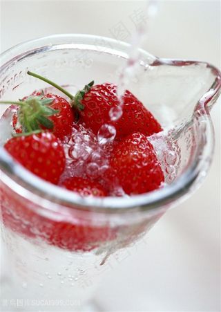 果园新鲜的草莓高清图片