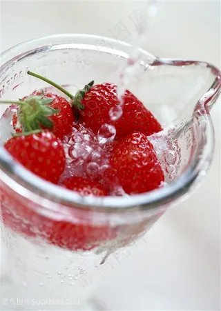 果园新鲜的草莓高清图片