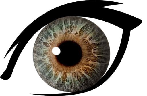 眼睛 PNG免抠(600x392)
