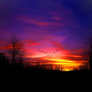 唯美山林景色高清图