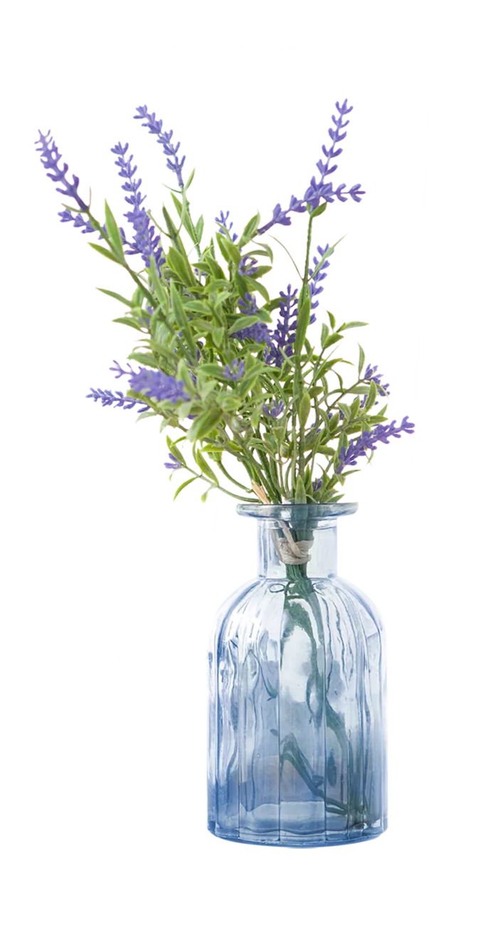 植物盆栽免抠png