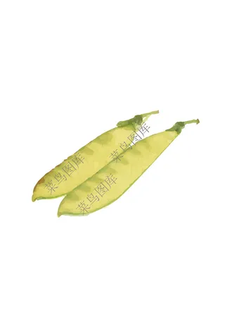 荷兰豆抽象矢量图