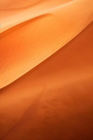 沙丘沙漠黄棕色背景