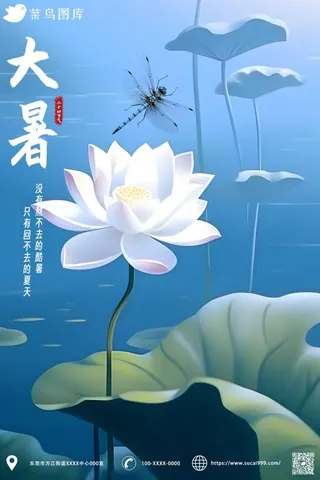 大暑节气荷花荷叶蓝色海报