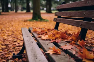 秋意浓公园长椅落叶摄影图