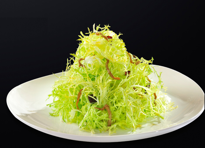 L02265肉丝苦菊