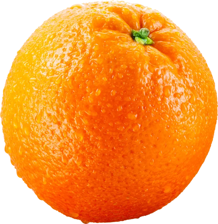 橘子免抠素材 (28)