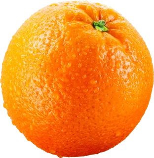 橘子免抠素材 (28)