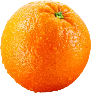 橘子免抠素材 (28)
