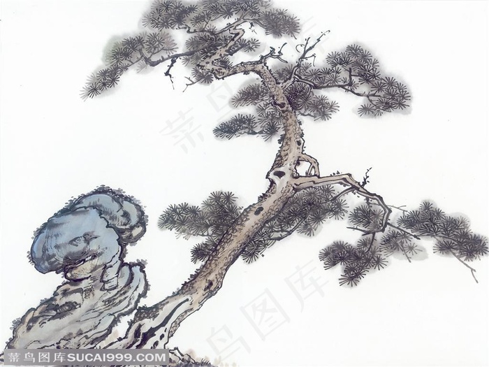 水墨画之生长在石壁上的迎客松