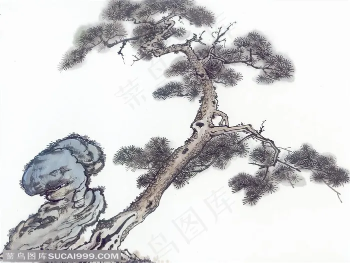 水墨画之生长在石壁上的迎客松