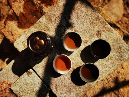 处暑户外山野徒步泡茶解暑