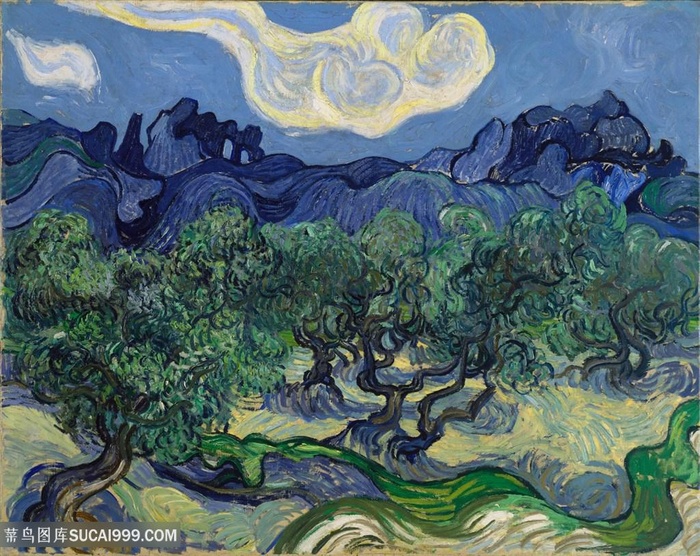 梵高夜晚的树木油画图片