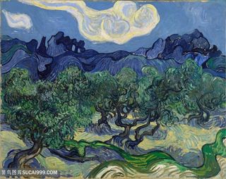 梵高夜晚的树木油画图片