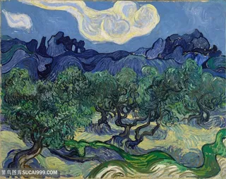 梵高夜晚的树木油画图片