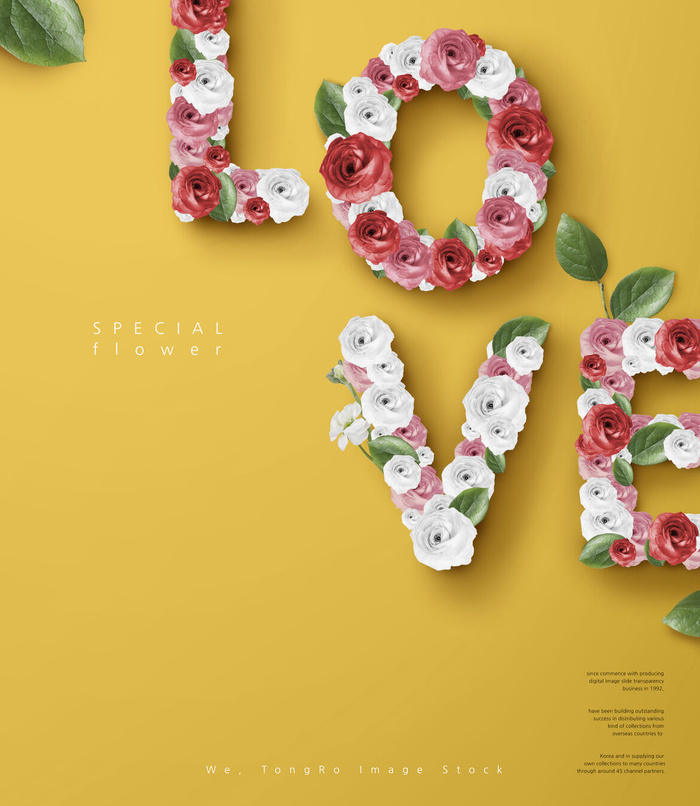 韩式花卉节日背景