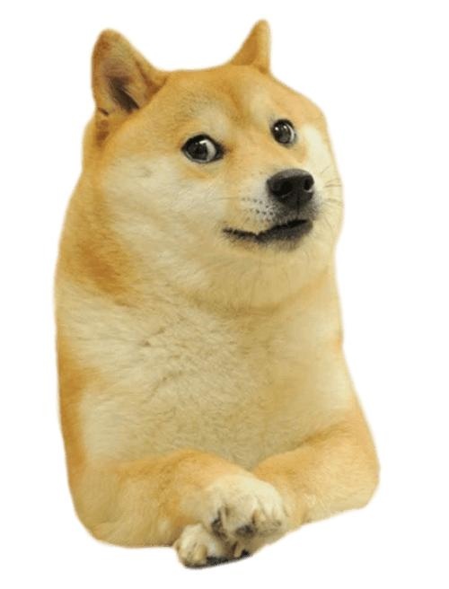 总督 (meme) PNG 图像免抠(500x656)