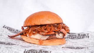 黄色美味汉堡摄影素材