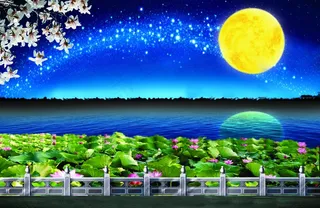 荷塘月色图片