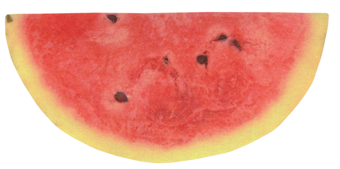 夏日西瓜素材