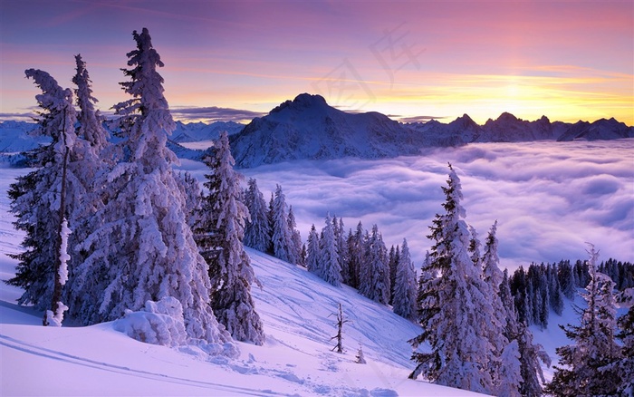 寒冷冬天雪景摄影