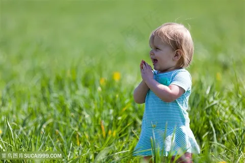草坪上欢快鼓掌宝宝