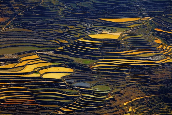 云南元阳梯田风景大图
