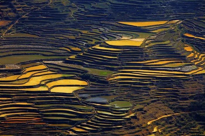 云南元阳梯田风景大图