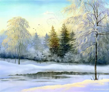 唯美的森林风景 唯美的森林风景
